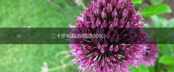 三十岁祝福语(精选30句),第1张