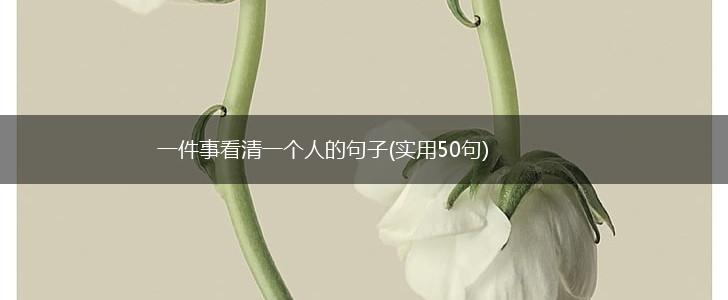 一件事看清一个人的句子(实用50句),第1张