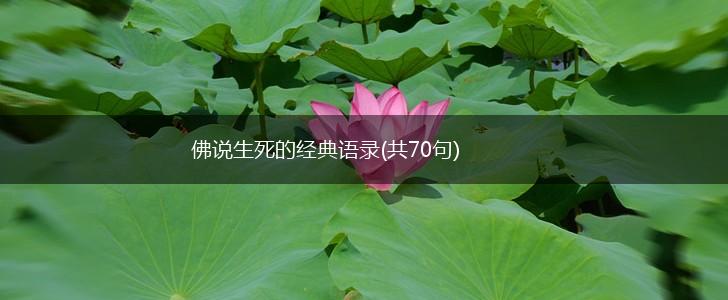 佛说生死的经典语录(共70句),第1张