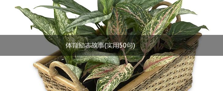 体育励志故事(实用50句),第1张