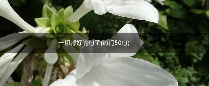 一切都好的句子(热门50句),第1张