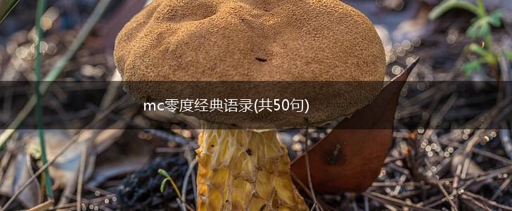 mc零度经典语录(共50句),第1张