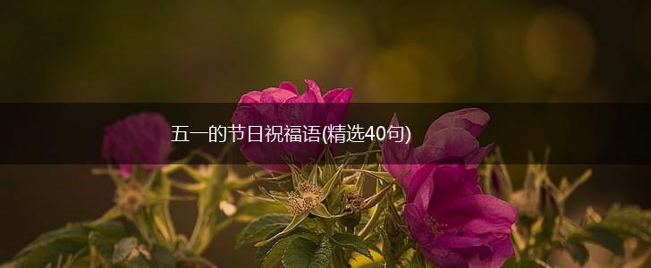 五一的节日祝福语(精选40句),第1张