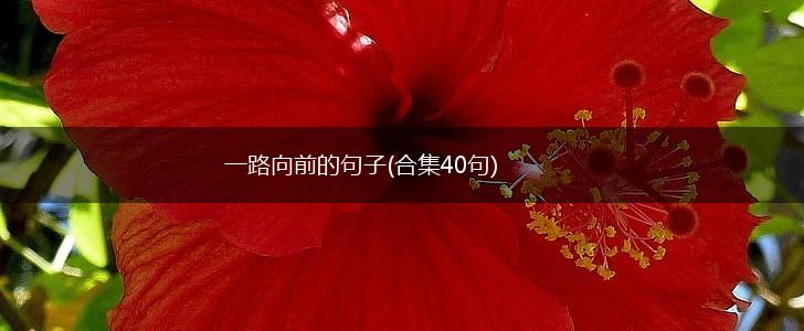一路向前的句子(合集40句),第1张