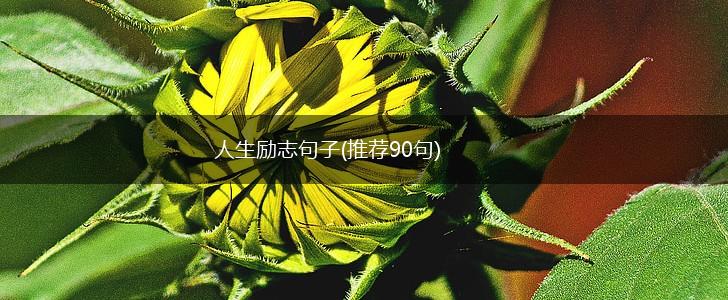 人生励志句子(推荐90句),第1张