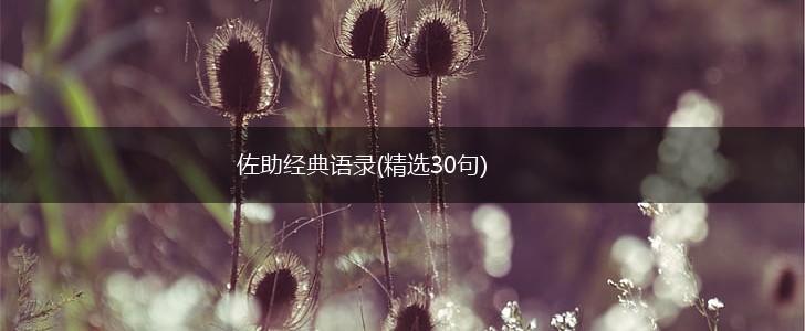 佐助经典语录(精选30句),第1张
