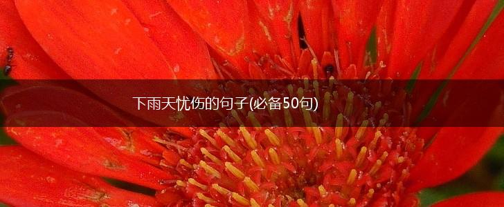 下雨天忧伤的句子(必备50句),第1张
