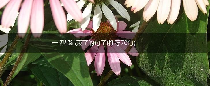 一切都结束了的句子(推荐70句),第1张
