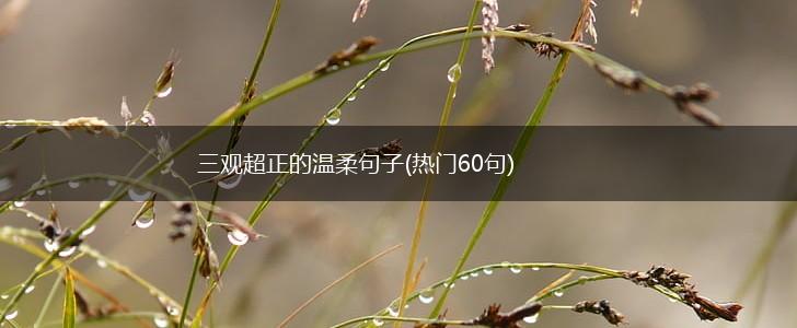 三观超正的温柔句子(热门60句),第1张