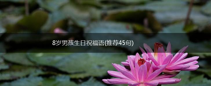 8岁男孩生日祝福语(推荐45句),第1张