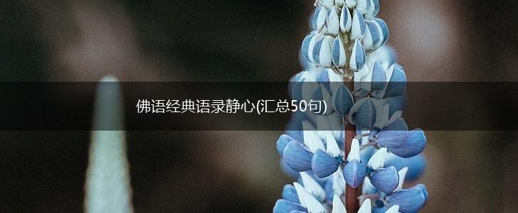 佛语经典语录静心(汇总50句),第1张