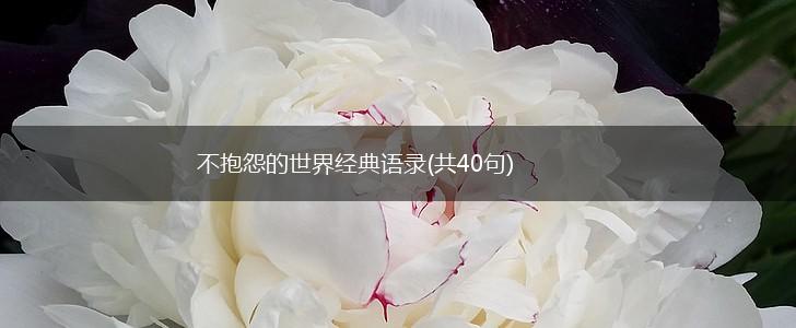 不抱怨的世界经典语录(共40句),第1张