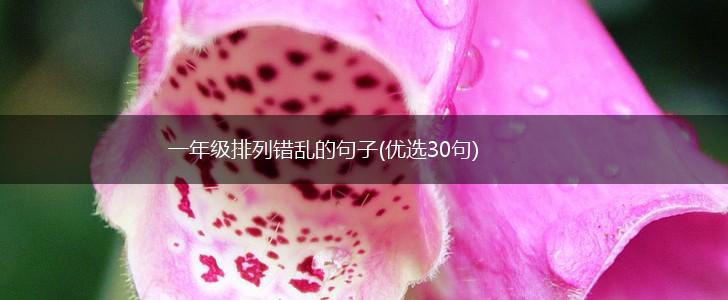 一年级排列错乱的句子(优选30句),第1张