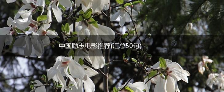 中国励志电影推荐(汇总50句),第1张
