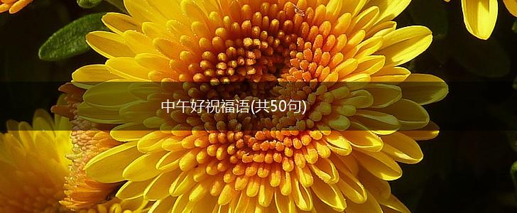 中午好祝福语(共50句),第1张