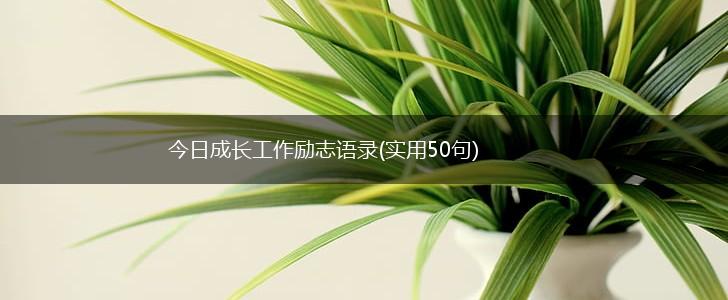 今日成长工作励志语录(实用50句),第1张