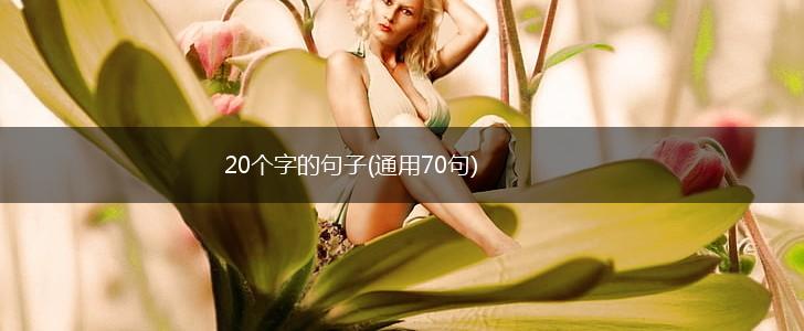 20个字的句子(通用70句),第1张