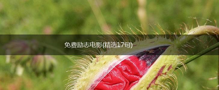 免费励志电影(精选17句),第1张