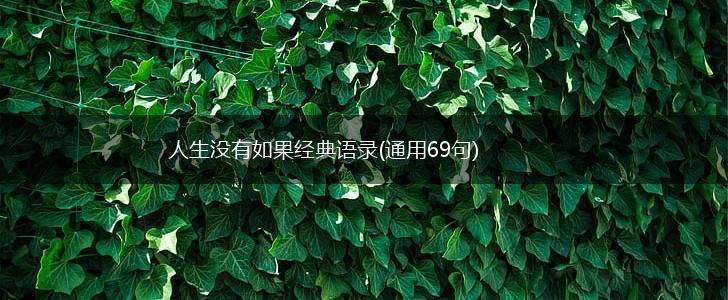 人生没有如果经典语录(通用69句),第1张