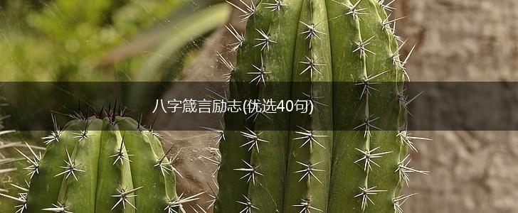 八字箴言励志(优选40句),第1张