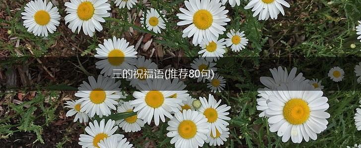三的祝福语(推荐80句),第1张