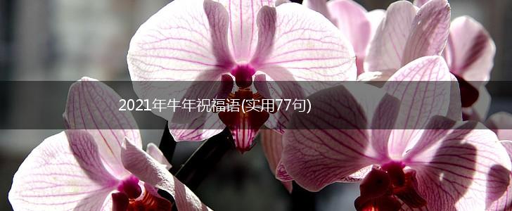 2021年牛年祝福语(实用77句),第1张