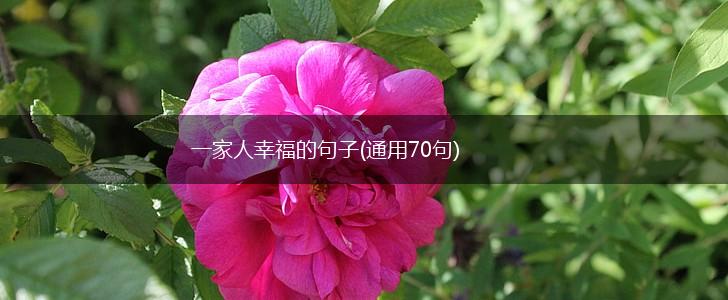 一家人幸福的句子(通用70句),第1张