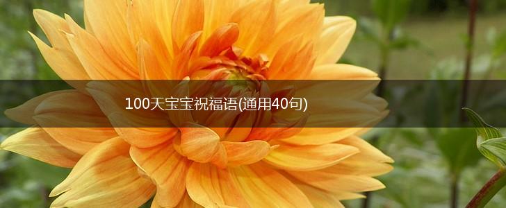 100天宝宝祝福语(通用40句),第1张