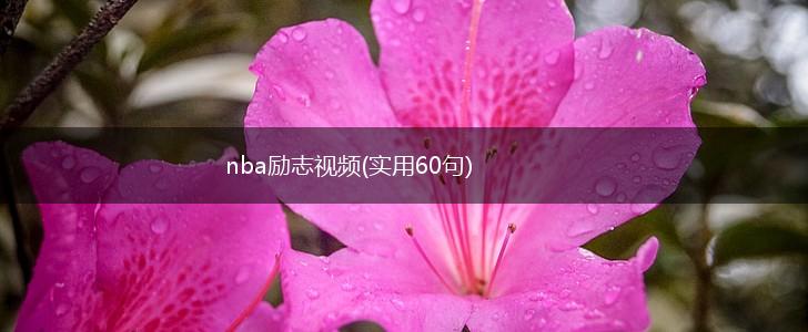 nba励志视频(实用60句),第1张