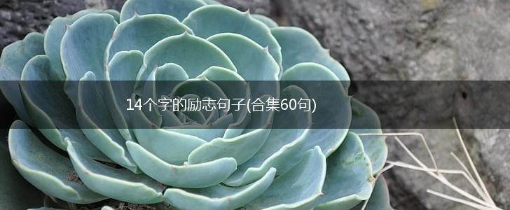14个字的励志句子(合集60句),第1张