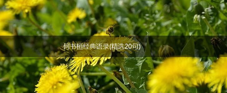 何书桓经典语录(精选20句),第1张
