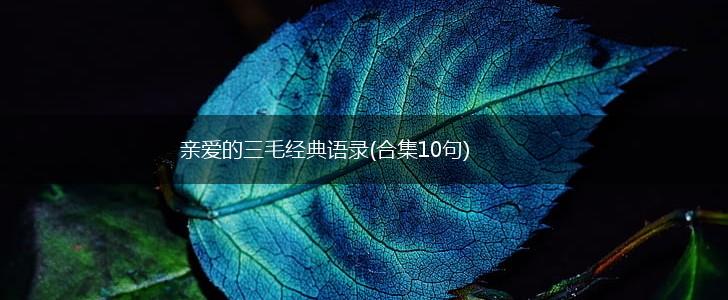 亲爱的三毛经典语录(合集10句),第1张