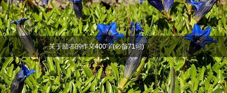 关于励志的作文400字(必备71句),第1张