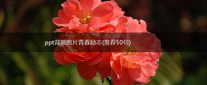 ppt背景图片青春励志(推荐50句),第1张