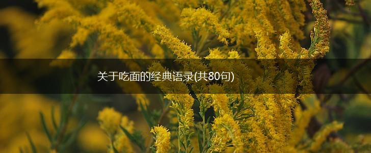 关于吃面的经典语录(共80句),第1张