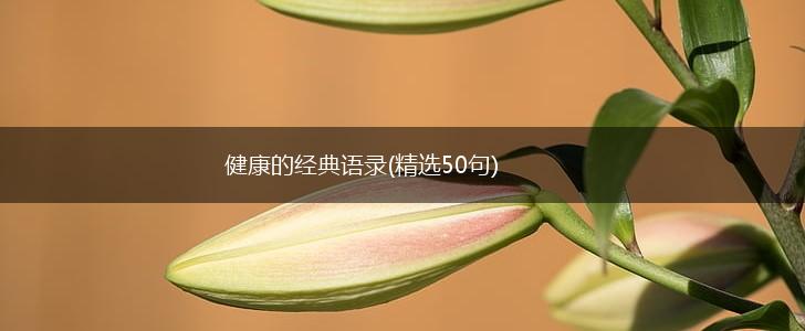 健康的经典语录(精选50句),第1张