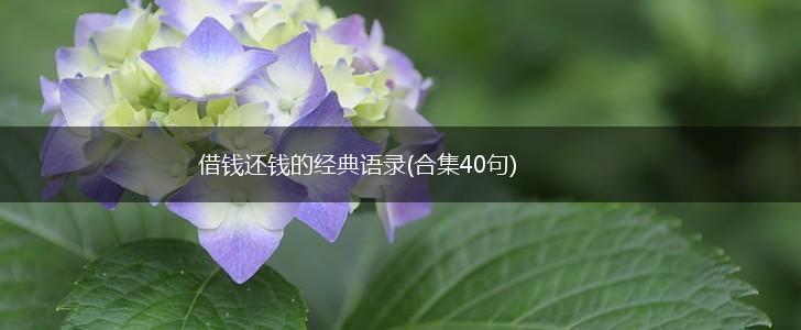 借钱还钱的经典语录(合集40句),第1张