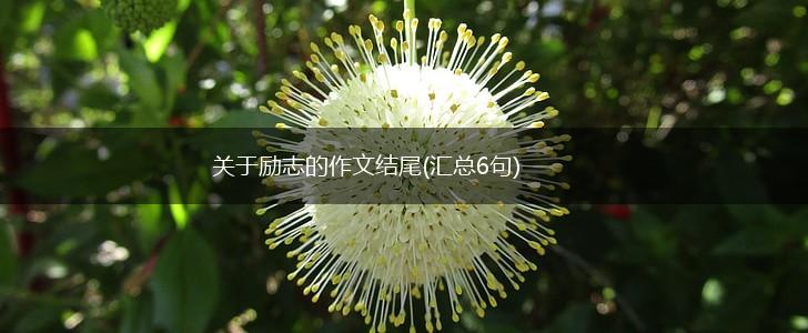 关于励志的作文结尾(汇总6句),第1张