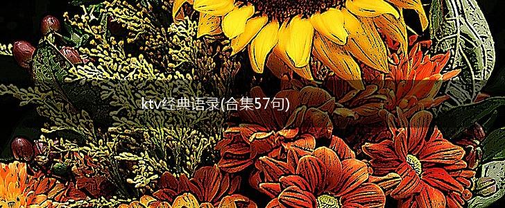 ktv经典语录(合集57句),第1张
