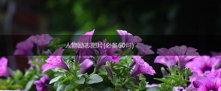人物励志图片(必备60句),第1张