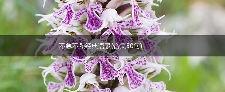 不急不躁经典语录(合集50句),第1张