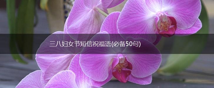 三八妇女节短信祝福语(必备50句),第1张