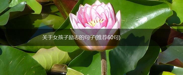 关于女孩子励志的句子(推荐60句),第1张