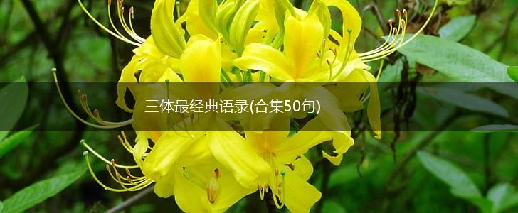 三体最经典语录(合集50句),第1张