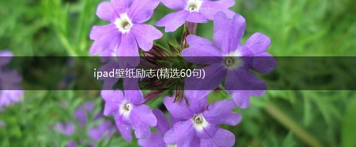ipad壁纸励志(精选60句),第1张