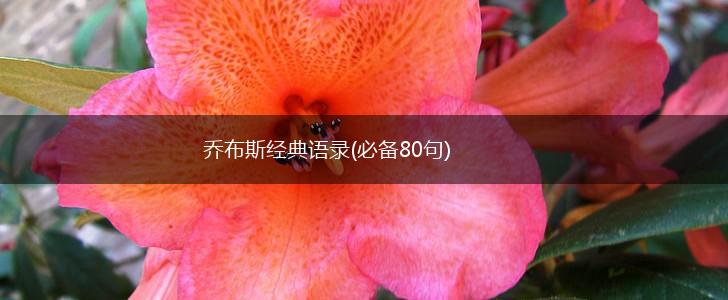 乔布斯经典语录(必备80句),第1张