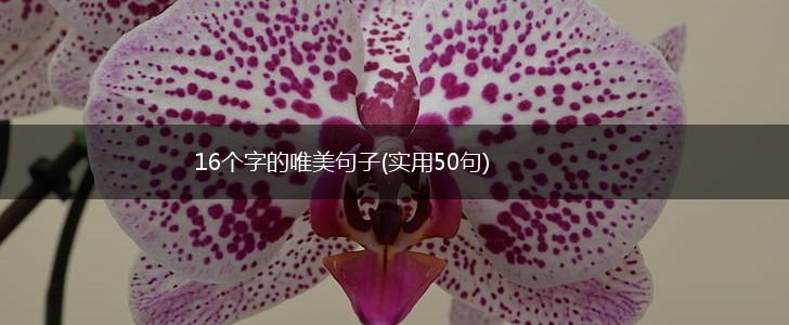 16个字的唯美句子(实用50句),第1张