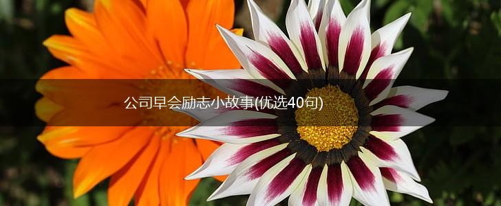 公司早会励志小故事(优选40句),第1张