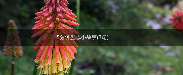 5分钟励志小故事(7句),第1张