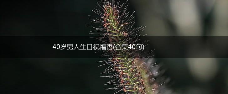 40岁男人生日祝福语(合集40句),第1张